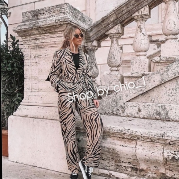 Zara ANIMAL PRINT SATIN EFFECT BLAZER zebra bloggers Favorite - Picture 5 of 16